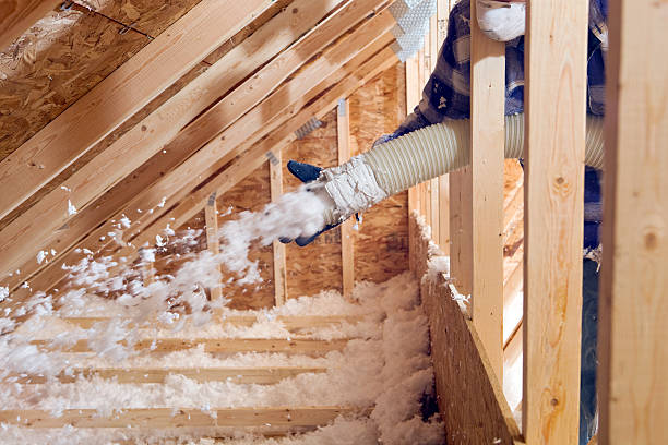 Best Eco-Friendly or Green Insulation Solutions in Elkins, AR